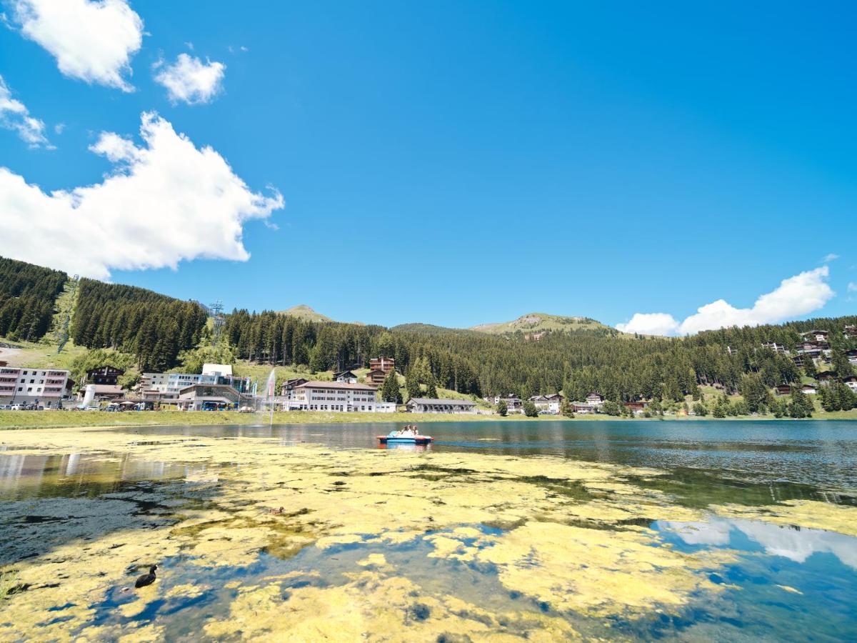 Haus Padrun 6 By Arosa Vacations Daire Dış mekan fotoğraf